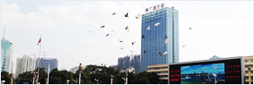 半岛online(中国)