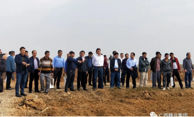 1578881052101559.jpg 1578879814(1).jpg