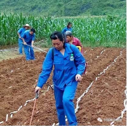 1584437541107669.jpg 1584435731(1).jpg