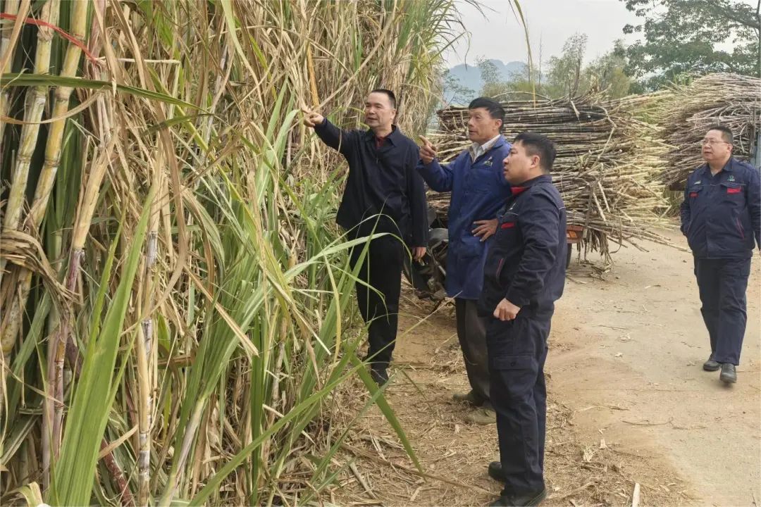 微信图片_20250127111536.jpg